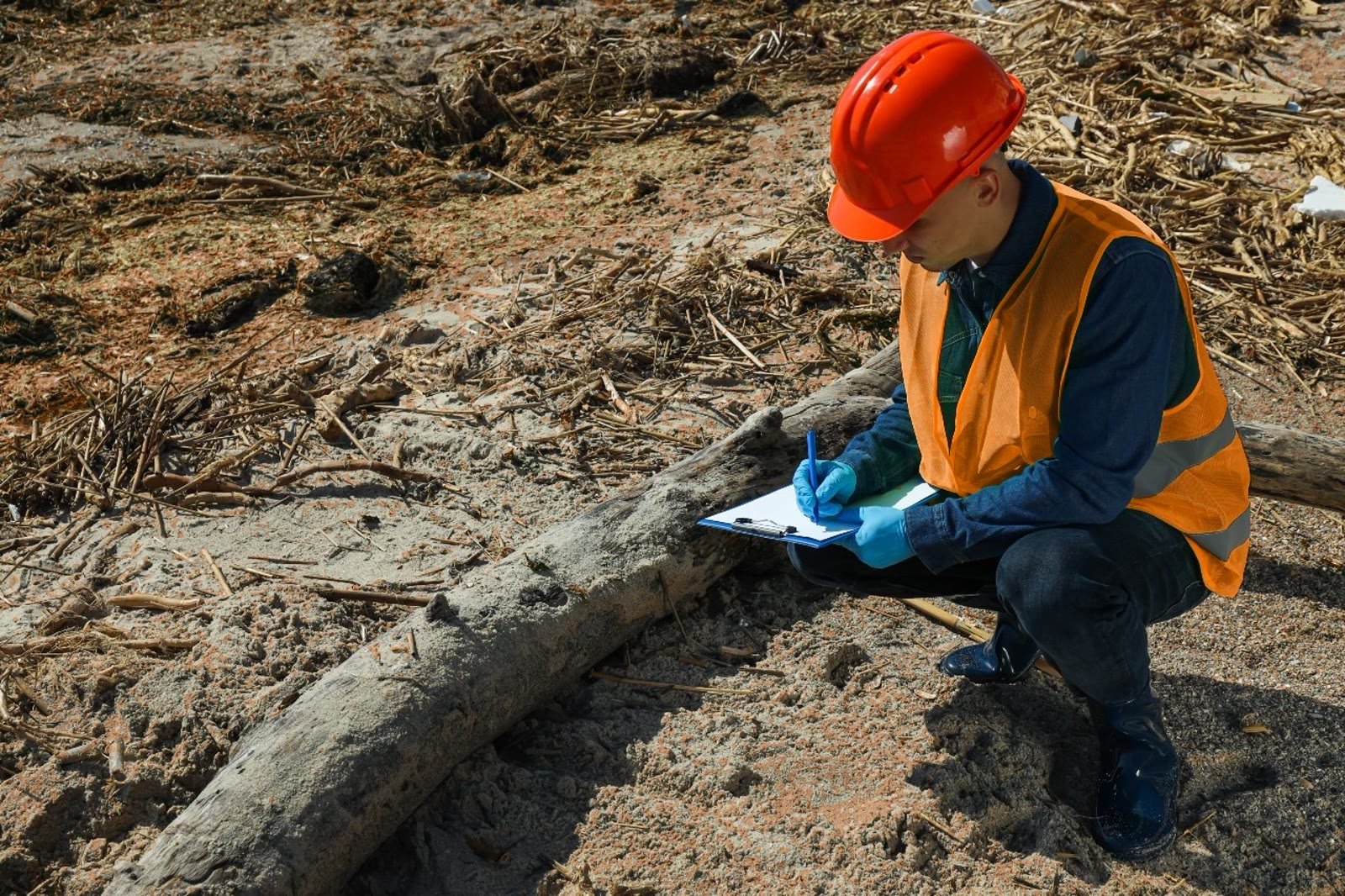 On-site environmental assessment and documentation